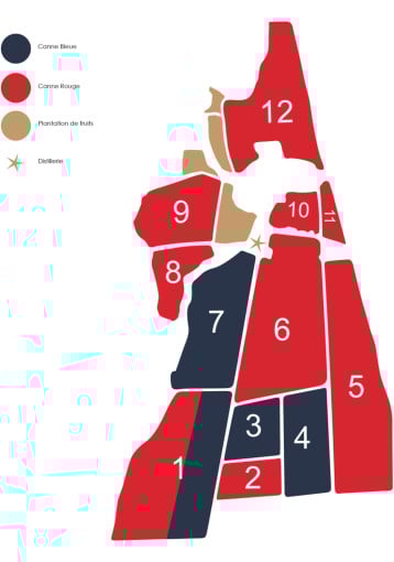 Longueteau - Plot Selection N°9 (2018 Harvest)