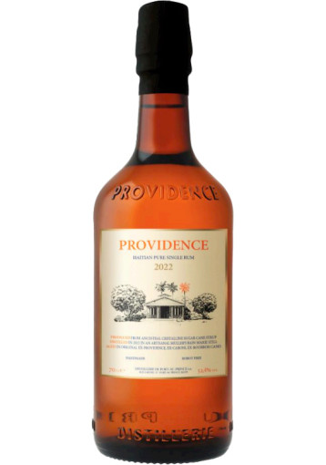 Providence - 2022 3 Year Old
