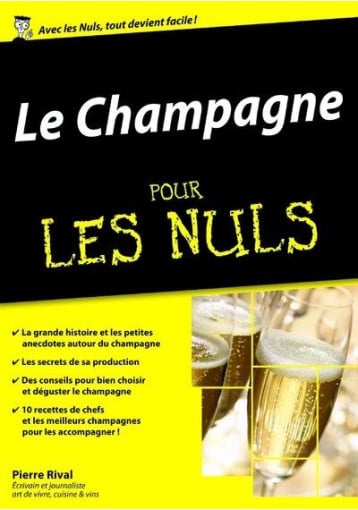 Champagne for dummies (megapocket)