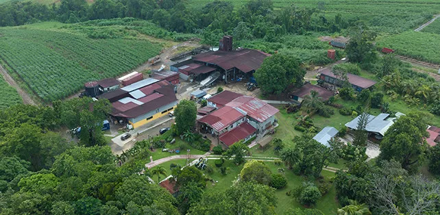 Reimonenq: a Guadeloupean anchor