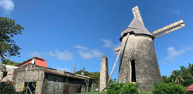 Habitation Bellevue rums, the finesse of Marie-Galante