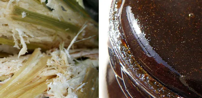 Rhum Rum Ron: What's the difference?